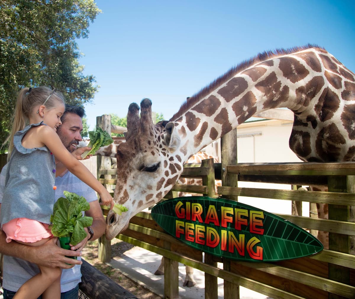 Gulf Breeze Zoo