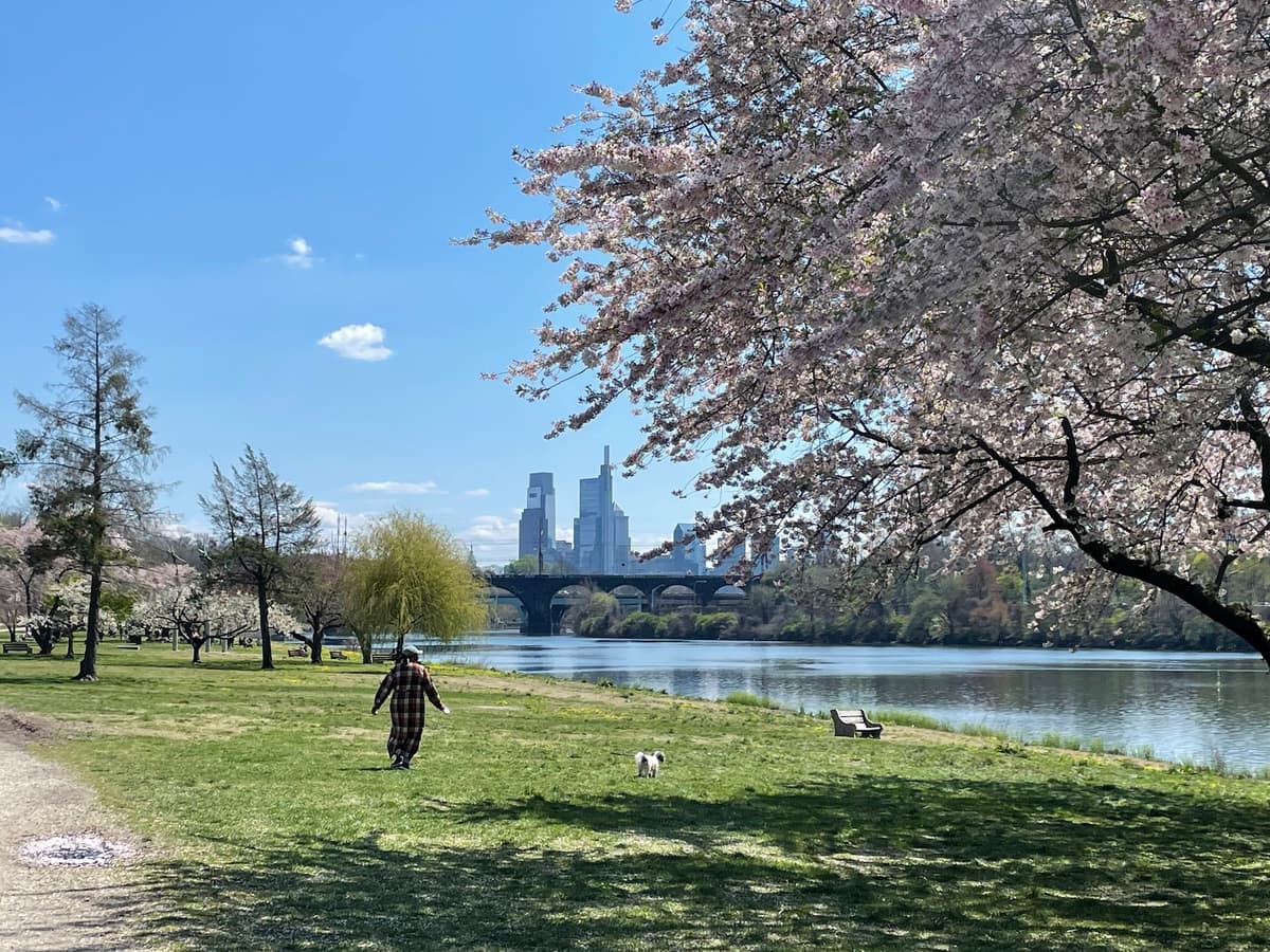 East Fairmount Park