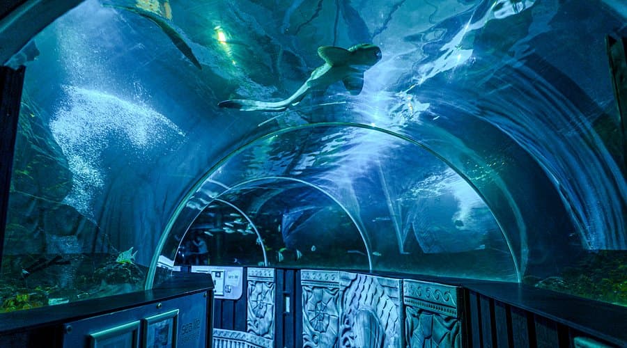 Sealife Adventure, photo 1 of 6