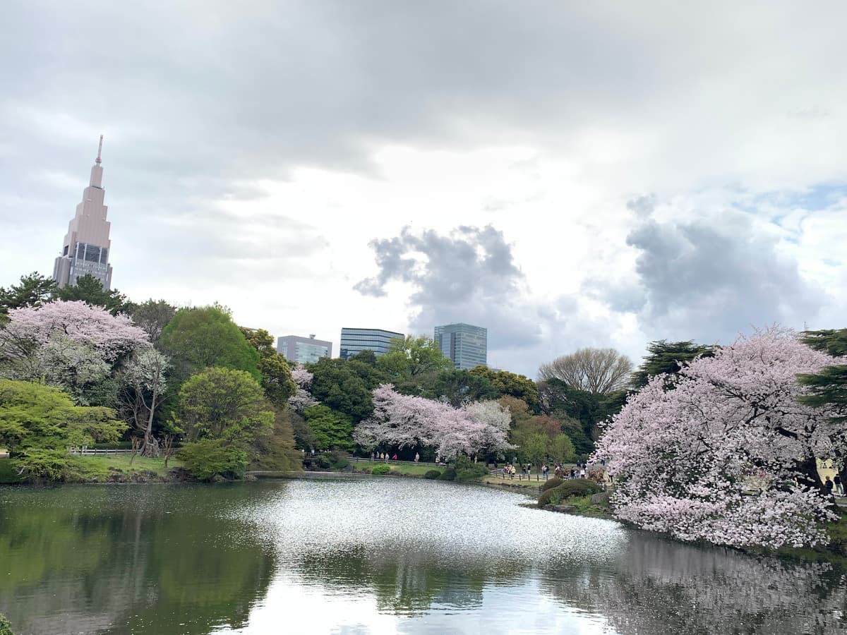 Shinjuku Gyoen National Garden