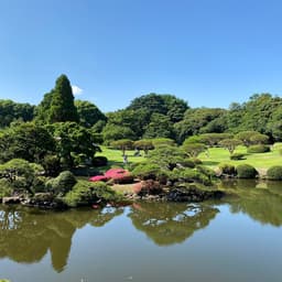 Shinjuku Gyoen National Garden