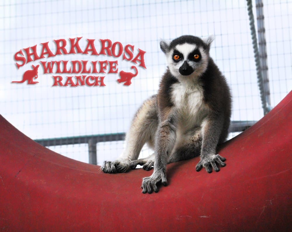 Sharkarosa Wildlife Ranch, photo 1 of 6