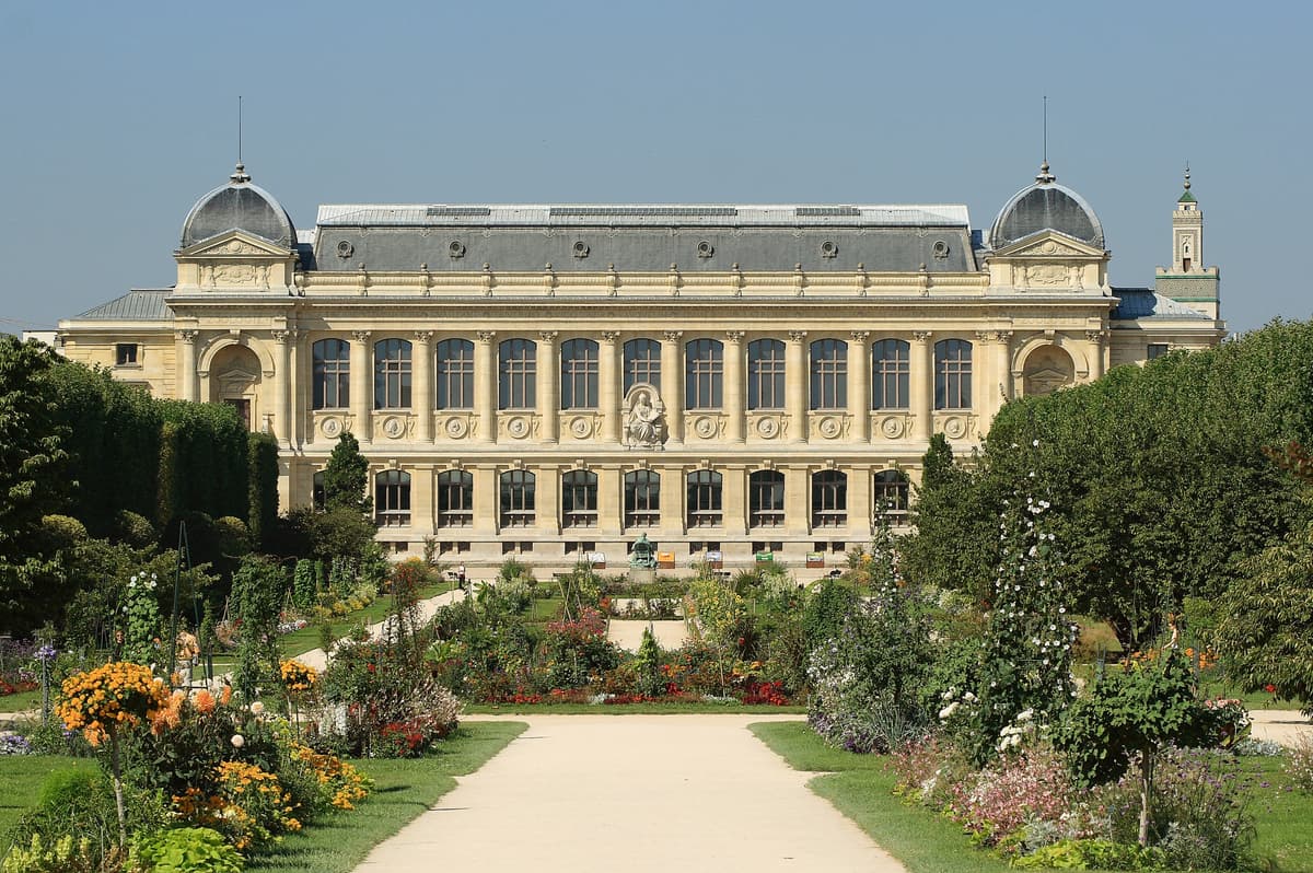 What Families Actually Spend in Paris: Real Activity Costs