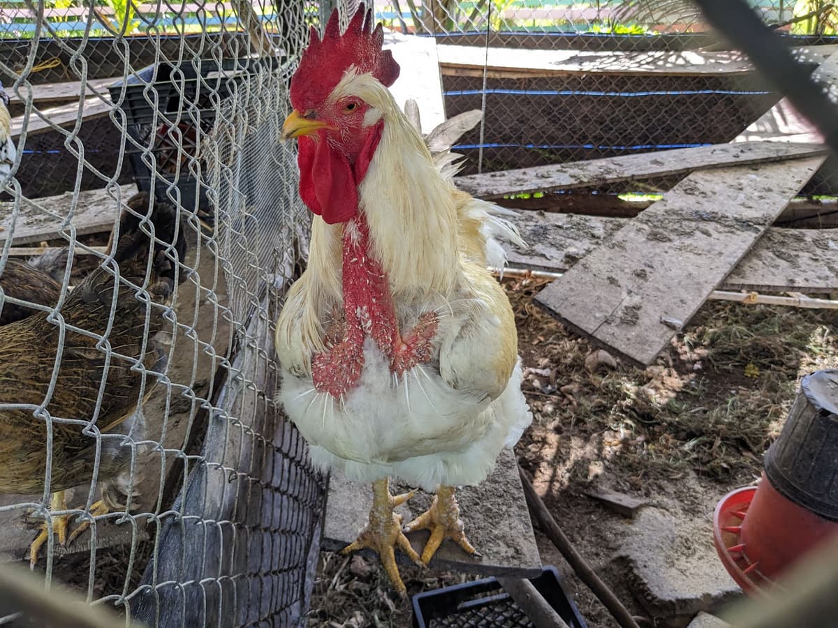 Down Too Earth Adventure Farm