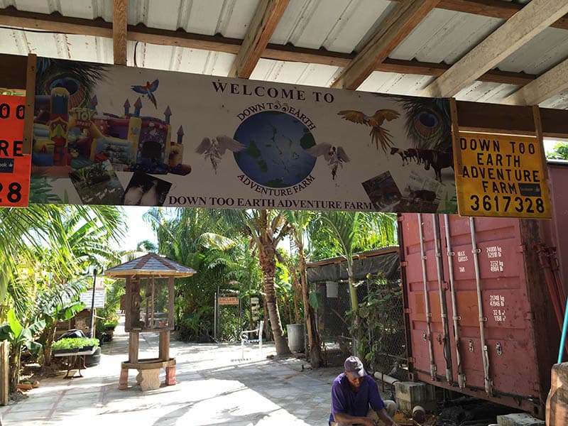 Down Too Earth Adventure Farm, photo 1 of 6