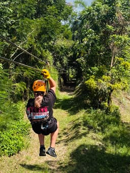 Rainforest Zipline Park