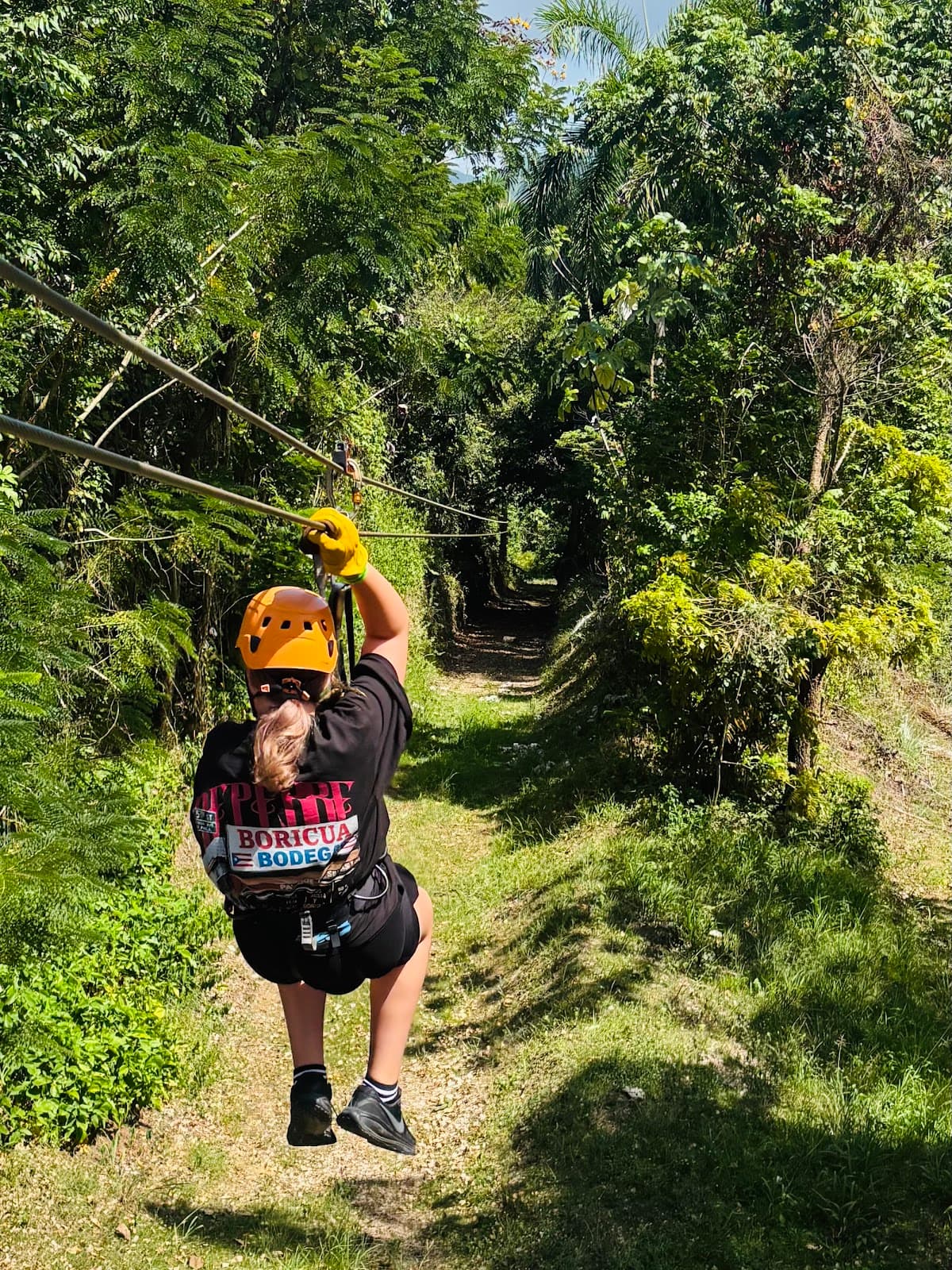 Rainforest Zipline Park