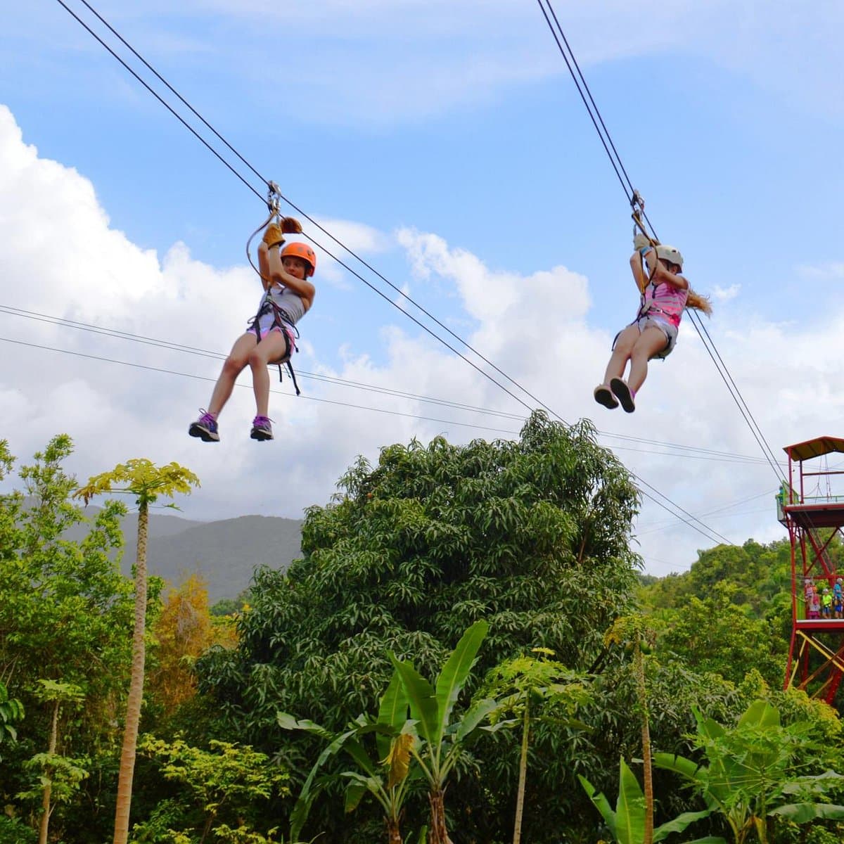 Rainforest Zipline Park
