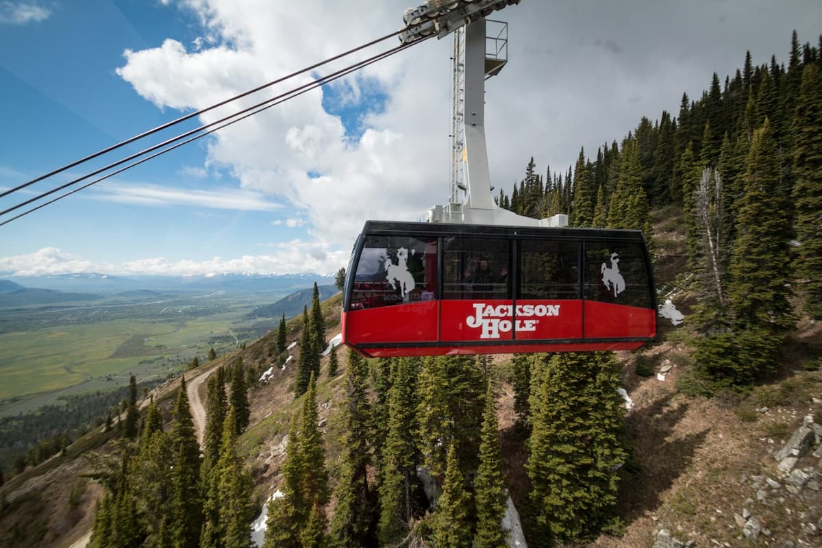 Jackson Hole Aerial Tram and Gondola Rides, photo 1 of 6