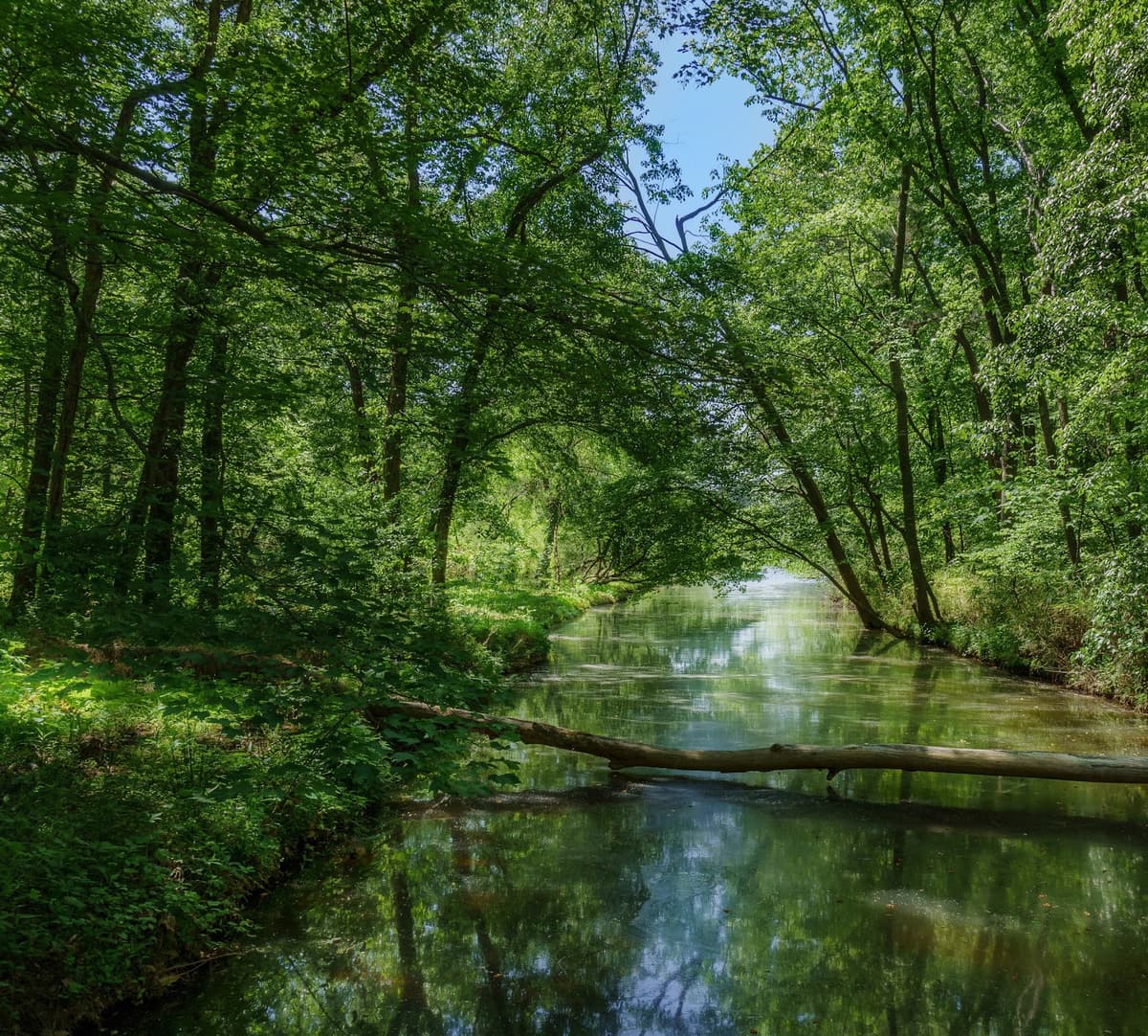 Walnut Creek Wetland Park