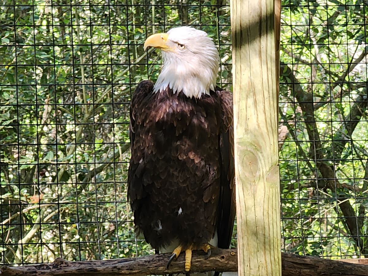 Lowcountry Zoo