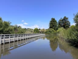 Neary Lagoon Wildlife Refuge