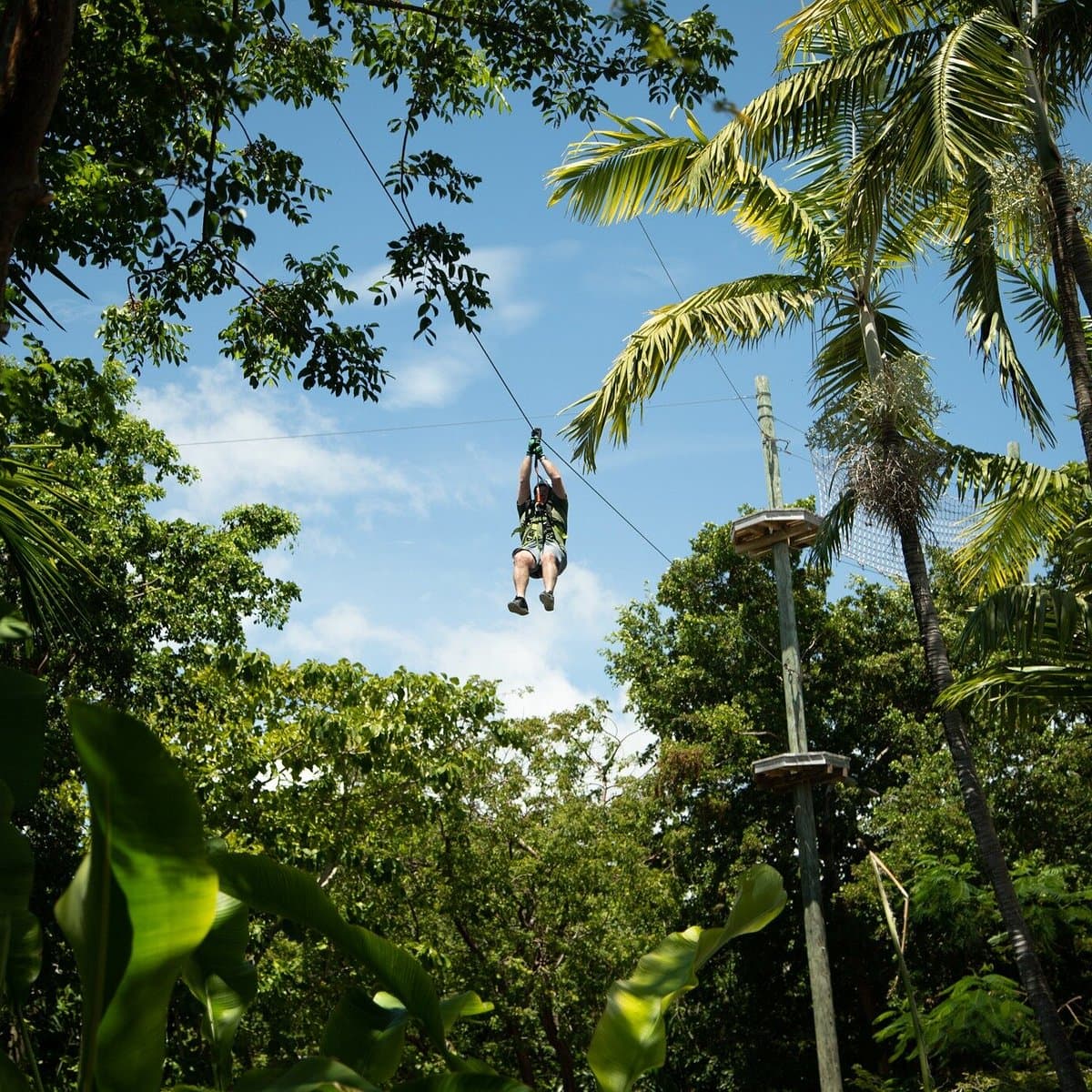 Treetop Trekking Miami — photo 1 of 2