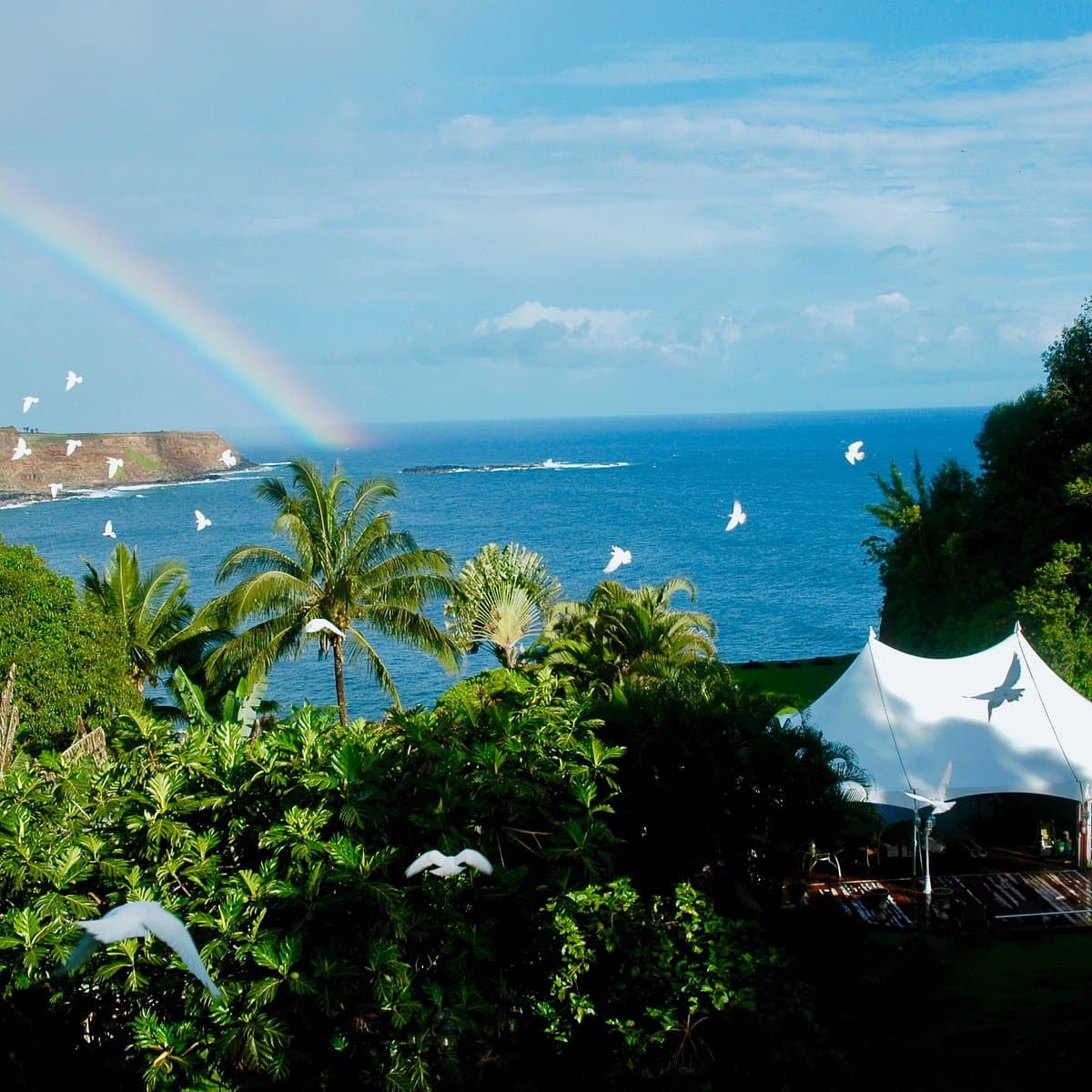 Spirit Of Aloha Oceanfront Botanical Gardens
