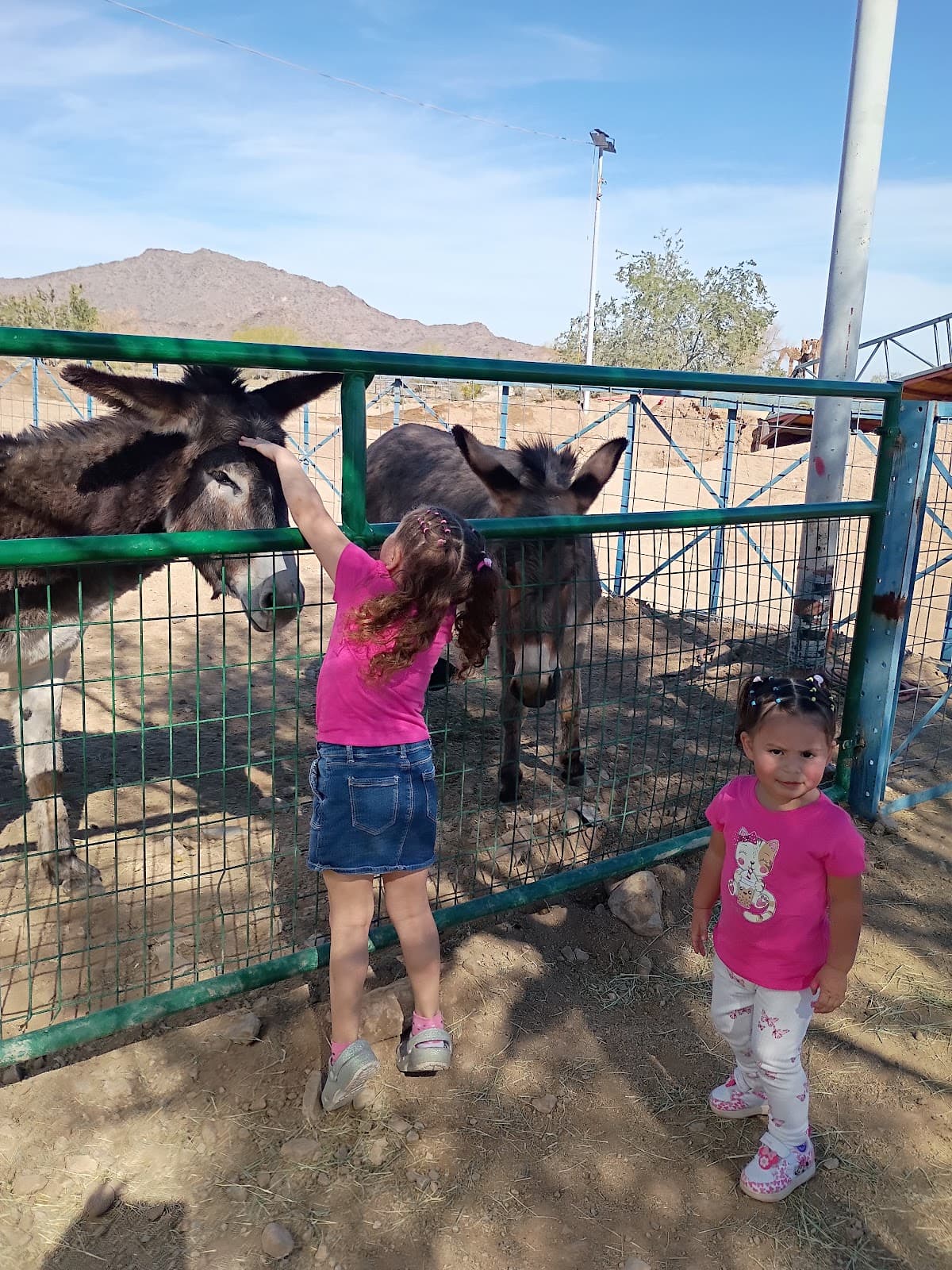 One of a Kind Petting Zoo, photo 1 of 1