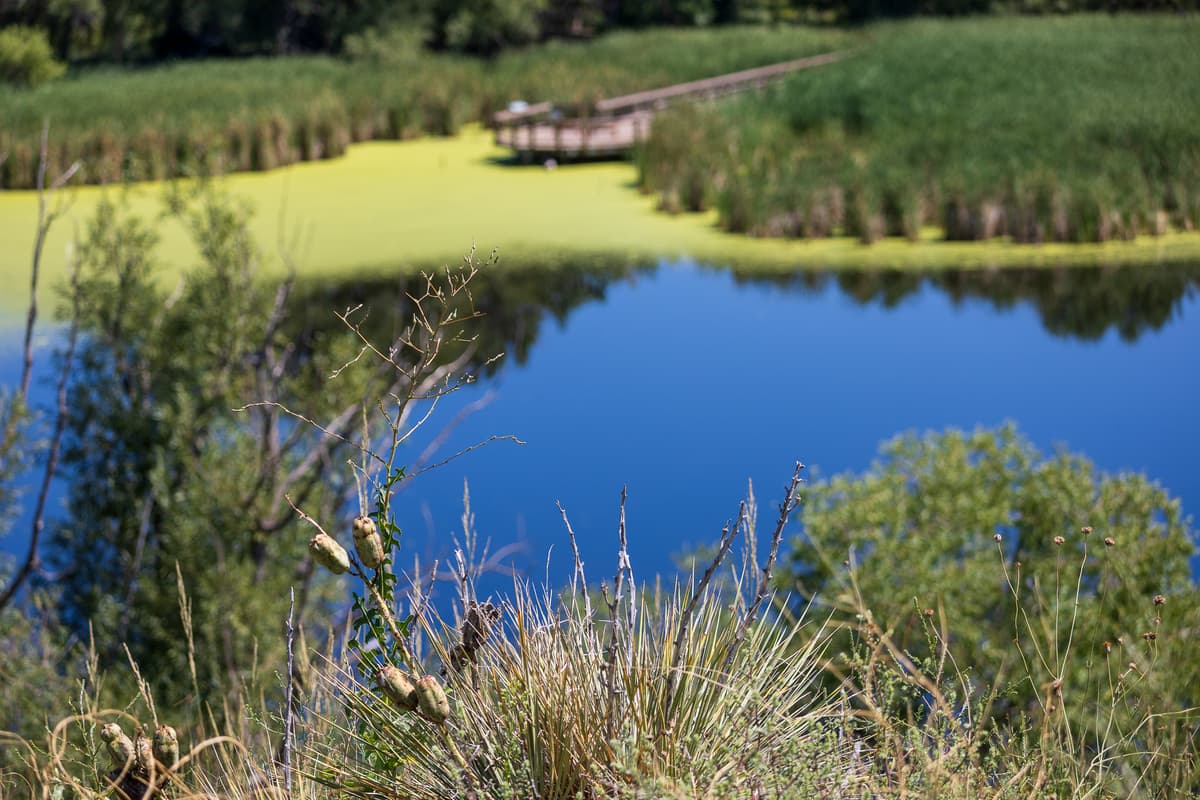 Bluff Lake Nature Center