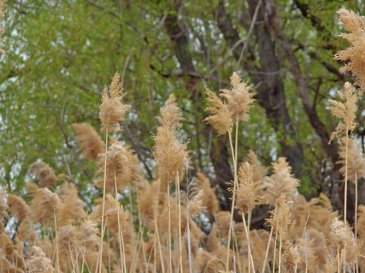 Bluff Lake Nature Center