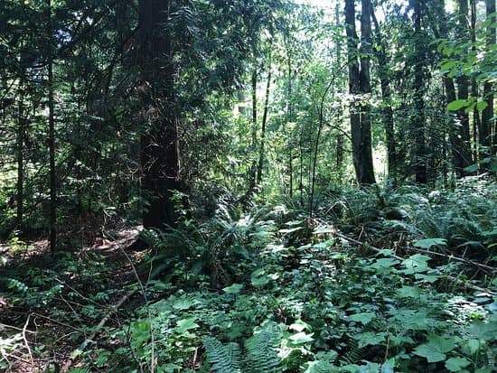 Living Northwest Trail