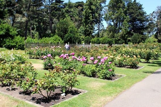 Garden of Fragrance