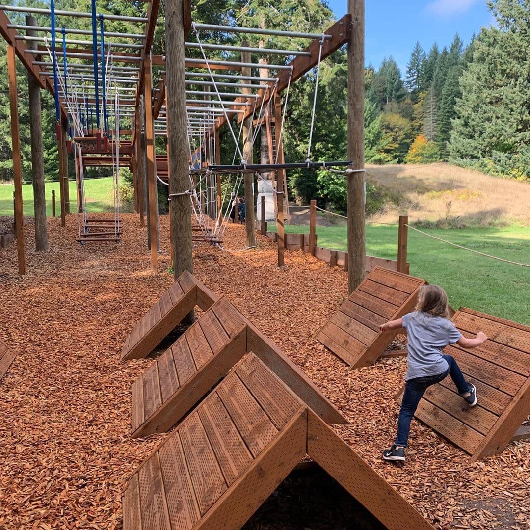 Tree to Tree Adventure Park
