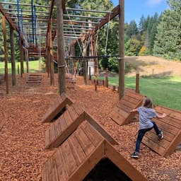 Tree to Tree Adventure Park