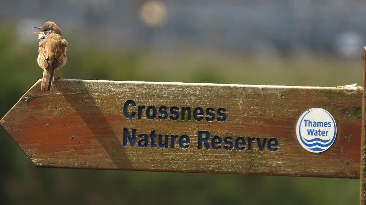 Crossness Nature Reserve, photo 1 of 4