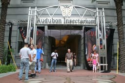 Audubon Insectarium