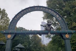 Tadpole Playground
