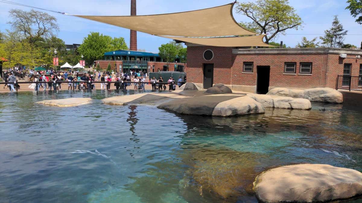 Kovler Seal Pool