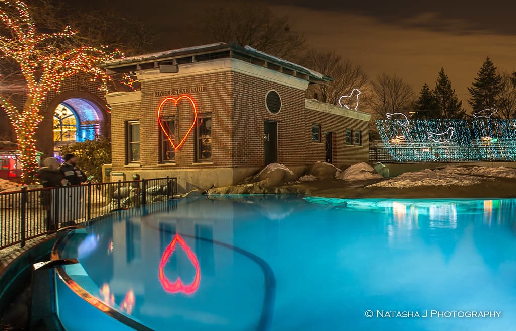 Kovler Seal Pool