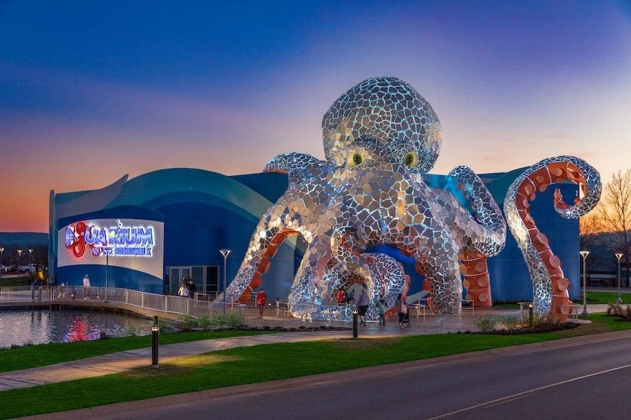 Aquarium at the Boardwalk — photo 1 of 2