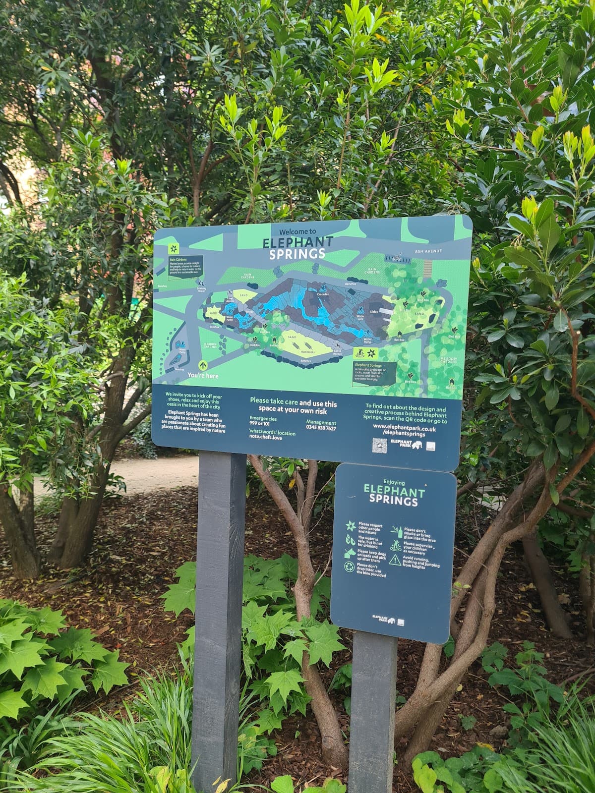 Elephant Springs