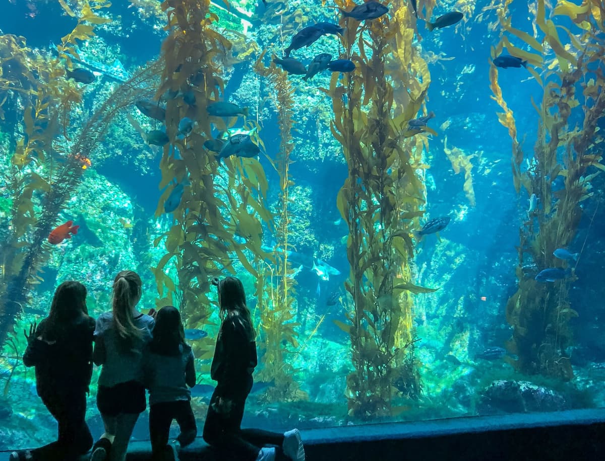 Birch Aquarium at Scripps