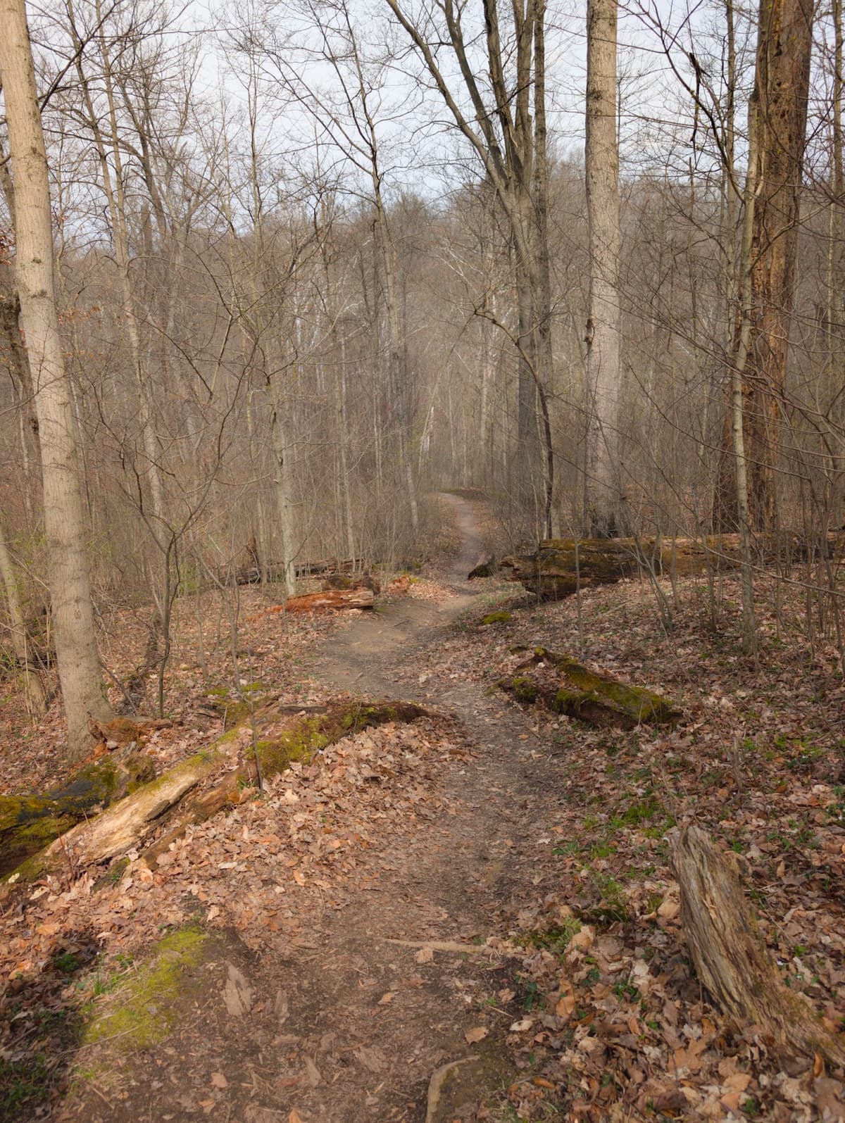 Withrow Nature Preserve