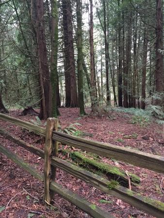 Gabriel Park — photo 1 of 2
