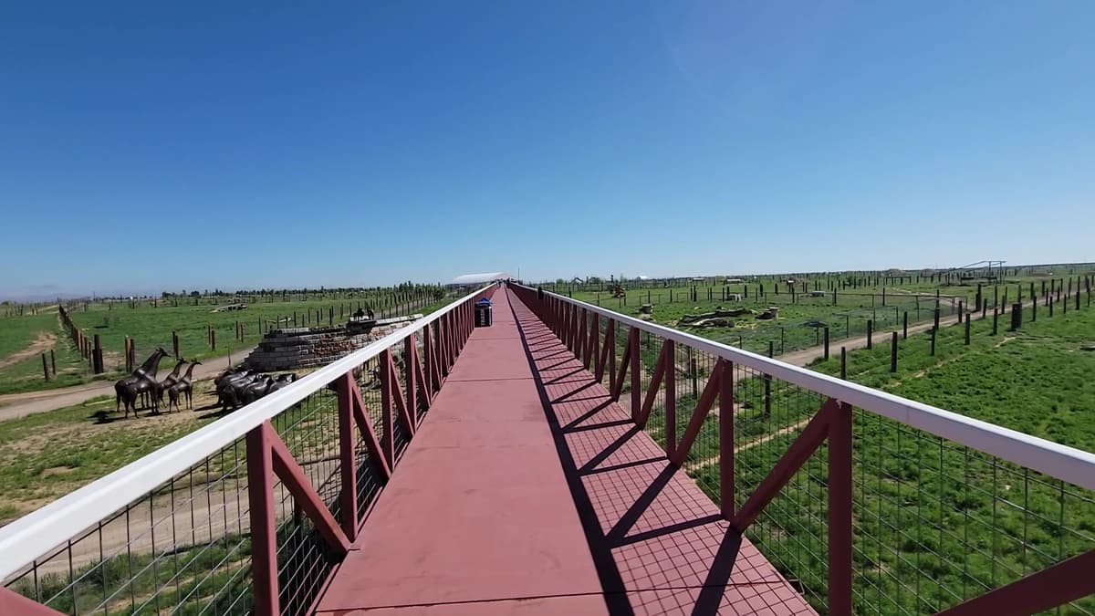 The Wild Animal Sanctuary