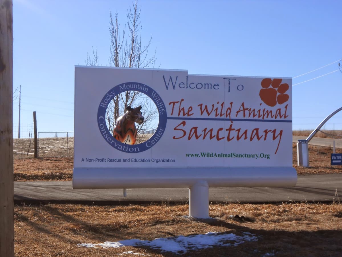 The Wild Animal Sanctuary — photo 1 of 6