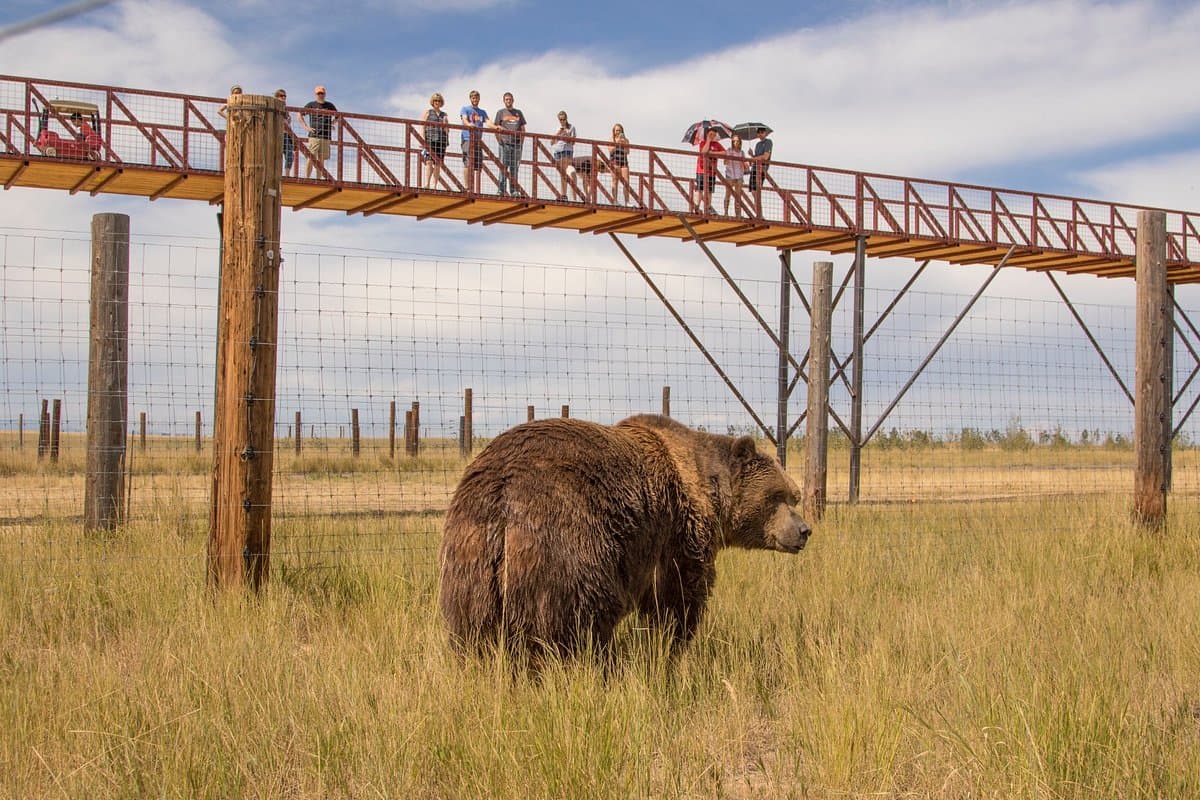 Best Denver Activities for Big Kids (Ages 6–12)