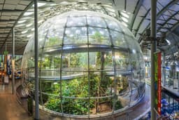 Osher Rainforest at the California Academy of Sciences