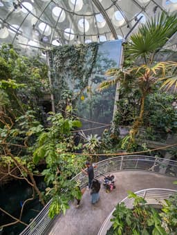 Osher Rainforest at the California Academy of Sciences