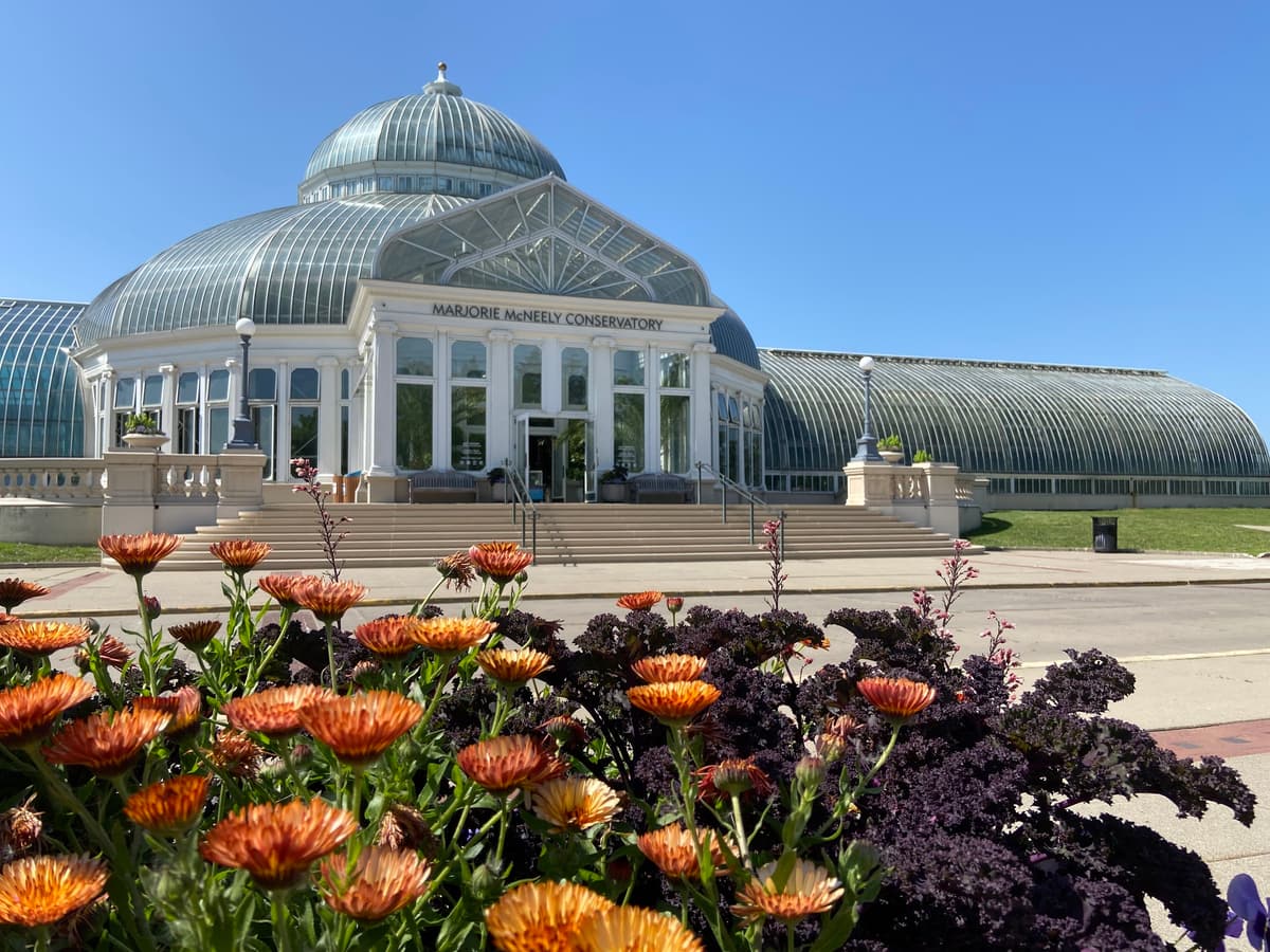 Palm Dome
