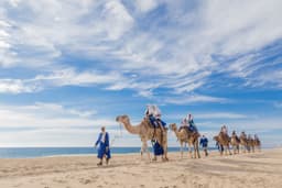 Cabo Adventures Tour Point