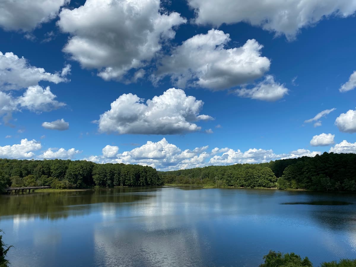 Shelley Lake Park
