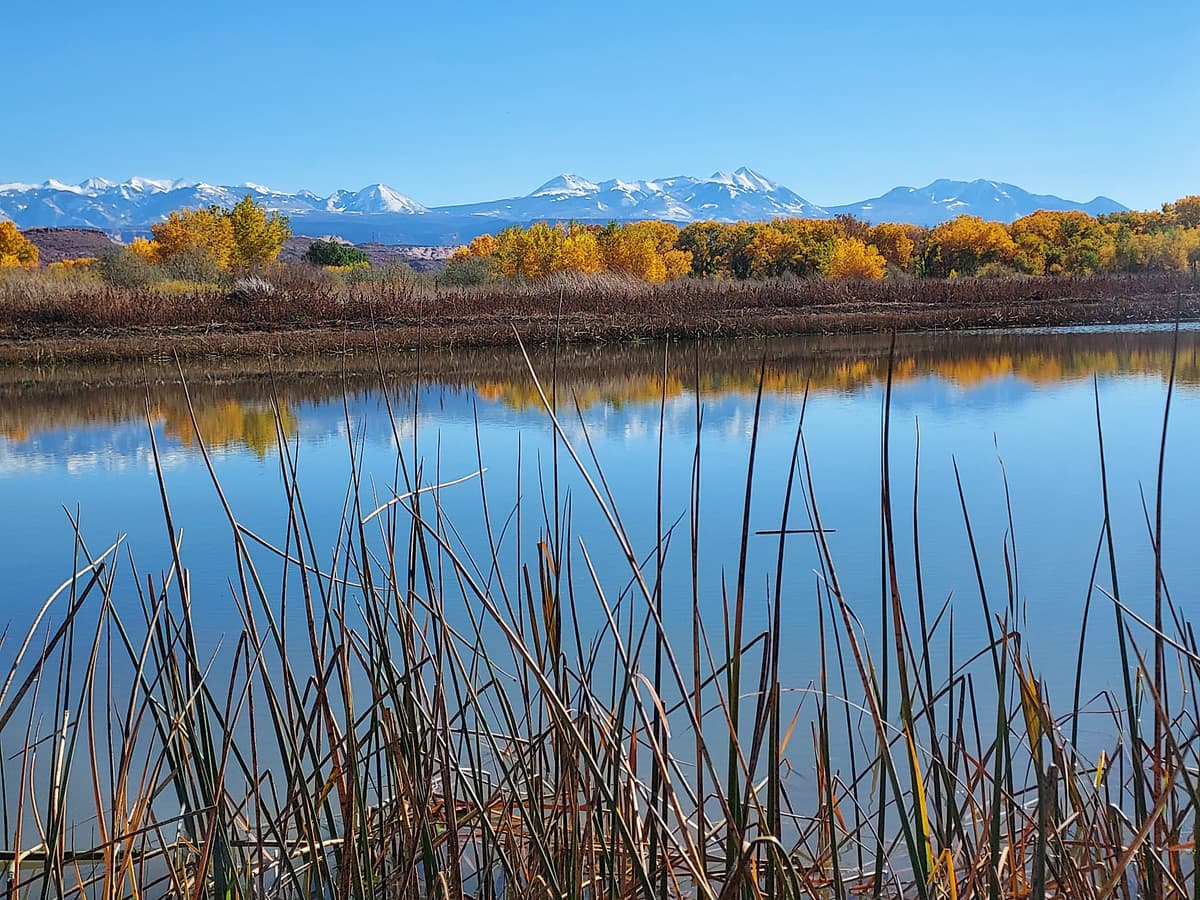 Scott M. Matheson Wetlands Preserve, photo 1 of 2