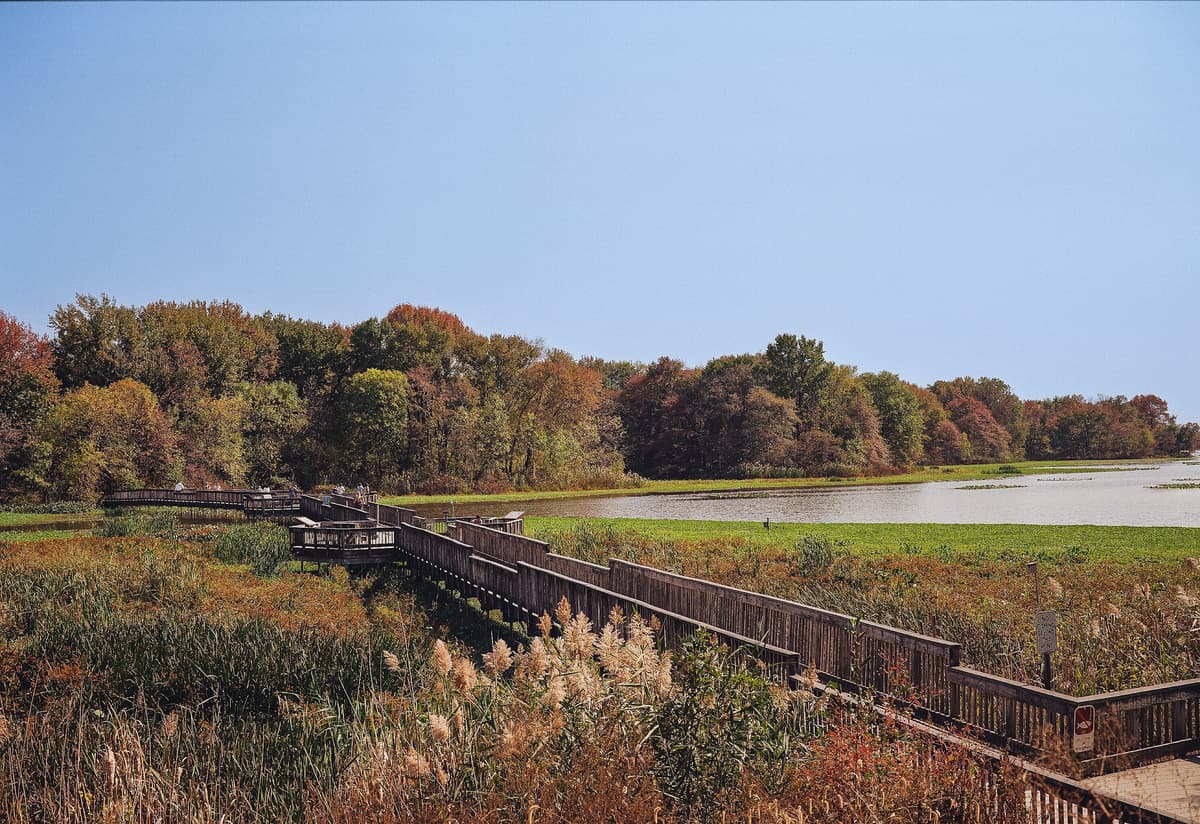 John Heinz National Wildlife Refuge at Tinicum