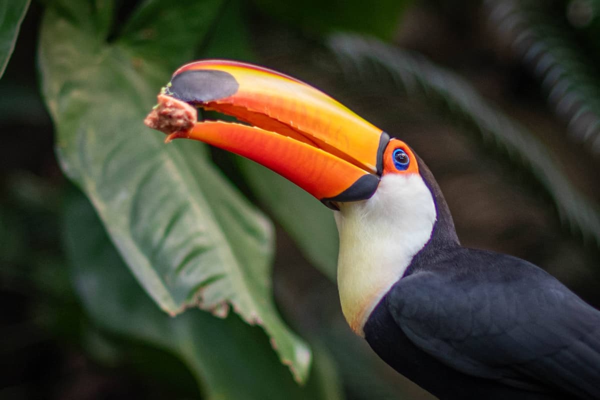 Parker Aviary