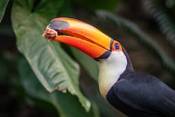 Parker Aviary