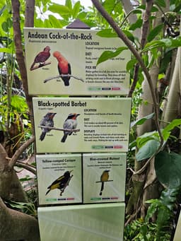 Parker Aviary