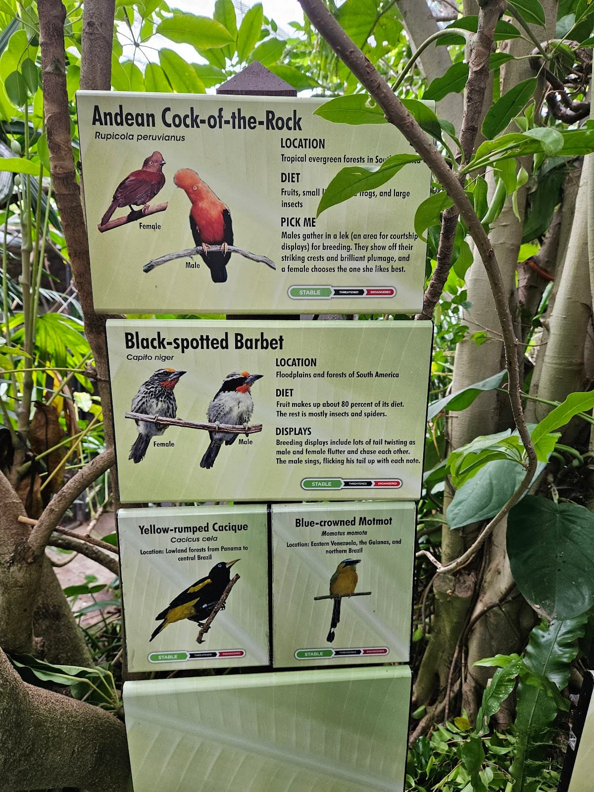 Parker Aviary