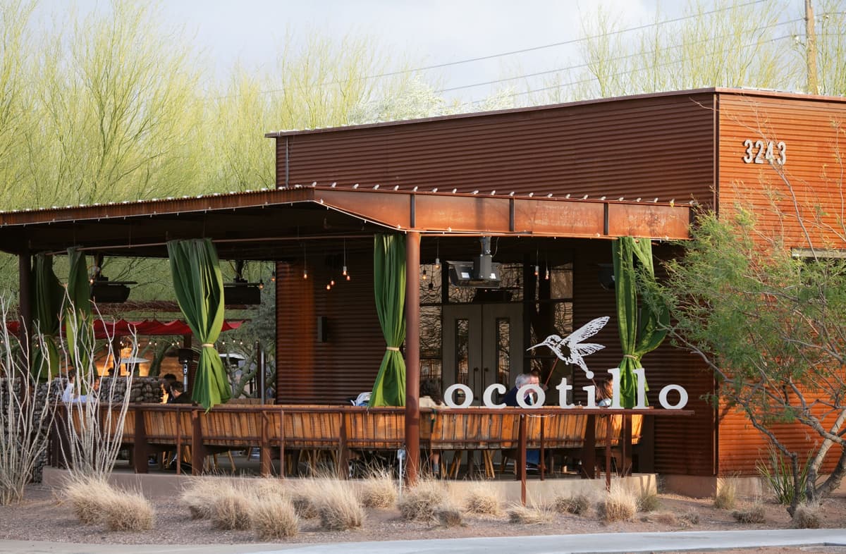 Ocotillo, photo 1 of 1
